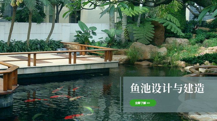 鱼池
